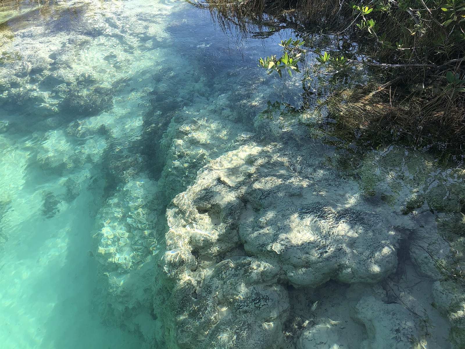 Stromatolites · 1.8 km